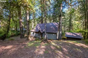 49053 Salt Creek Rd, Oakridge, OR 97463 - Photo 2
