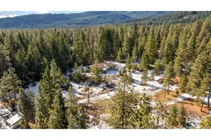 2216 Hwy 141, Trout Lake, WA 98650 - Photo 46