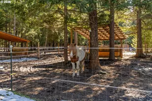 2216 Hwy 141, Trout Lake, WA 98650 - Photo 38