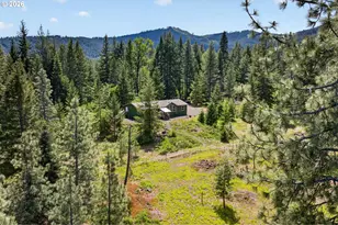 2216 Hwy 141, Trout Lake, WA 98650 - Photo 46