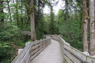 310 NW 116th Ave, Portland, OR 97229 - Photo 40