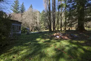 11846 Lewis River Rd, Ariel, WA 98603 - Photo 8