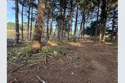 Ophir Rd, Gold Beach, OR 97444 - Photo 12