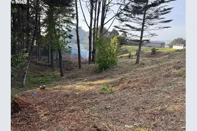 Ophir Rd, Gold Beach, OR 97444 - Photo 10
