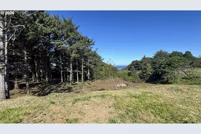 Ophir Rd, Gold Beach, OR 97444 - Photo 6