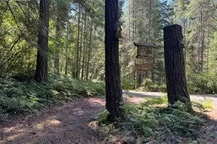 Cabin 100 Northwoods, Cougar, WA 98616 - Photo 14