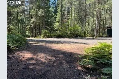 Cabin 100 Northwoods, Cougar, WA 98616 - Photo 22