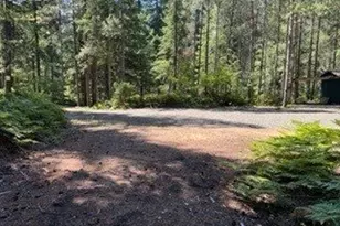Cabin 100 Northwoods, Cougar, WA 98616 - Photo 22