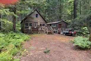 Cabin 100 Northwoods, Cougar, WA 98616 - Photo 2
