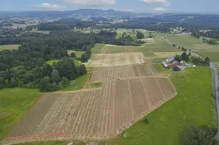 21080 NE Ribbon Ridge Rd, Newberg, OR 97132 - Photo 42