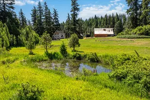 851 Snowden Rd, White Salmon, WA 98672 - Photo 6