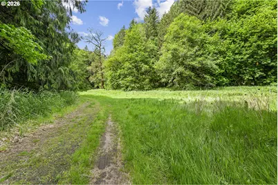 865 W Columbia River Hwy, Clatskanie, OR 97016 - Photo 24
