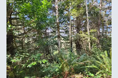 Jefferson St #Lot 1&6, Port Orford, OR 97465 - Photo 4