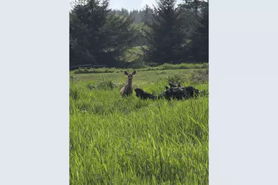 91146 Pioneer Farm Rd, Warrenton, OR 97146 - Photo 26