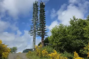 91146 Pioneer Farm Rd, Warrenton, OR 97146 - Photo 22