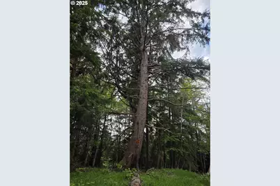 91146 Pioneer Farm Rd, Warrenton, OR 97146 - Photo 30