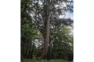 91146 Pioneer Farm Rd, Warrenton, OR 97146 - Photo 30