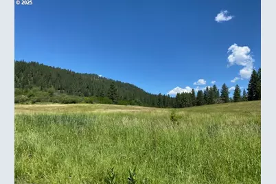 47664 Ryall Rd, Halfway, OR 97834 - Photo 2