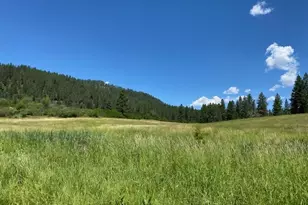 47664 Ryall Rd, Halfway, OR 97834 - Photo 2