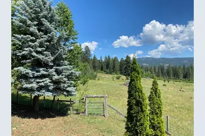 47664 Ryall Rd, Halfway, OR 97834 - Photo 4