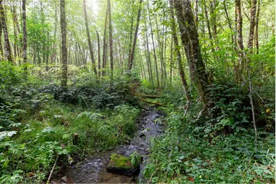 13740 Colvin Rd, Clatskanie, OR 97016 - Photo 40