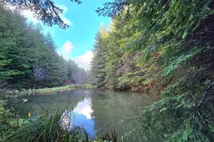 61842 Davis Slough Rd, Coos Bay, OR 97420 - Photo 8