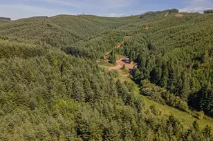 61842 Davis Slough Rd, Coos Bay, OR 97420 - Photo 46