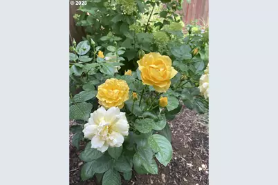 10705 NE 156th Ave, Vancouver, WA 98682 - Photo 46