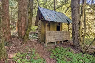 30460 E Rd 12 Lot 133, Rhododendron, OR 97049 - Photo 22