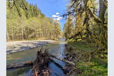 30460 E Rd 12 Lot 133, Rhododendron, OR 97049 - Photo 28