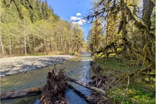 30460 E Rd 12 Lot 133, Rhododendron, OR 97049 - Photo 28