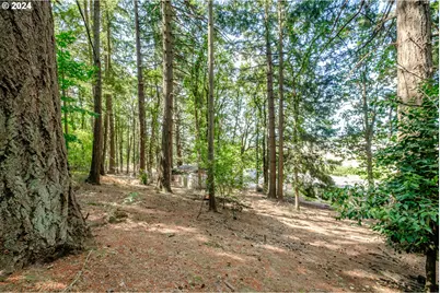 38611 Century Dr, Albany, OR 97322 - Photo 38