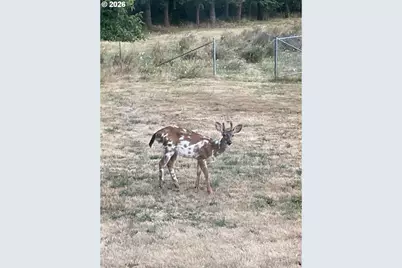 27737 SE Currin Rd, Estacada, OR 97023 - Photo 24