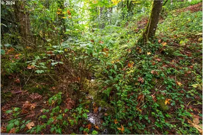 15419 NE 50th Ave, Vancouver, WA 98686 - Photo 42