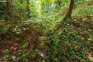 15419 NE 50th Ave, Vancouver, WA 98686 - Photo 42