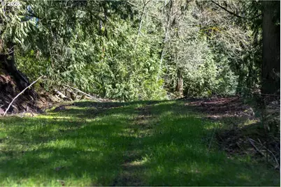 S Ringo Rd, Mulino, OR 97042 - Photo 36