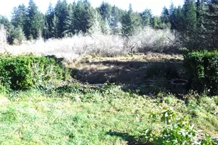 2470 Ocean Blvd, Coos Bay, OR 97420 - Photo 8