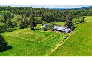 359 Frank Smith Rd, Toutle, WA 98649 - Photo 30