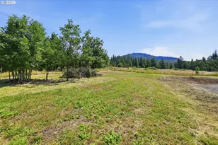 105 E 6th St, Lowell, OR 97452 - Photo 20