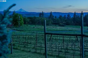 199 Old Hwy 8, Lyle, WA 98635 - Photo 48