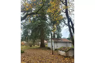 17811 NE 259th St, Battle Ground, WA 98604 - Photo 10