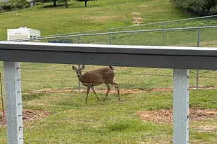 98825 Pleasant Hill Dr, Brookings, OR 97415 - Photo 16