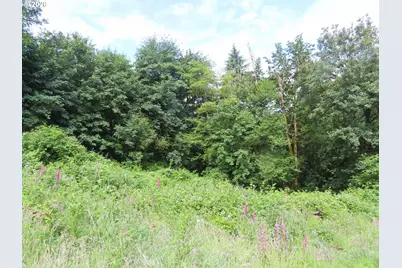 Sylvan Way, Longview, WA 98632 - Photo 4