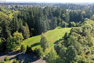 3702 SE Meier Ct, Hillsboro, OR 97123 - Photo 46