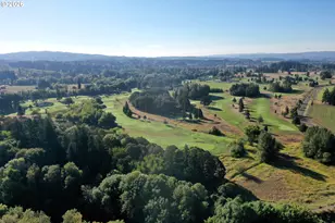 3702 SE Meier Ct, Hillsboro, OR 97123 - Photo 48