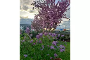 943 Oregon Way, Woodburn, OR 97071 - Photo 38