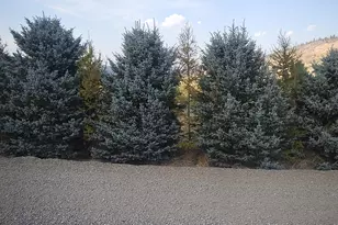 66104 Hull Ln, Imbler, OR 97841 - Photo 2