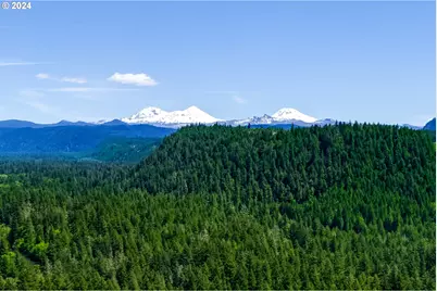 56483 McKenzie Hwy, McKenzie Bridge, OR 97413 - Photo 36