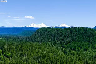 56483 McKenzie Hwy, McKenzie Bridge, OR 97413 - Photo 36