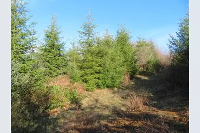 1478 E Hoquiam Rd, Hoquiam, WA 98550 - Photo 12